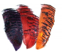 Golden Pheasant Tippets Nat & Dyed